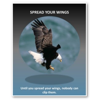 spread your wings poster